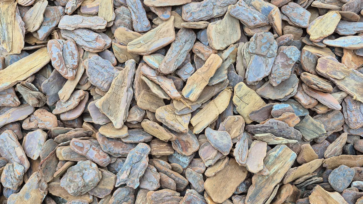 Casca de Pinus Polida Zaria