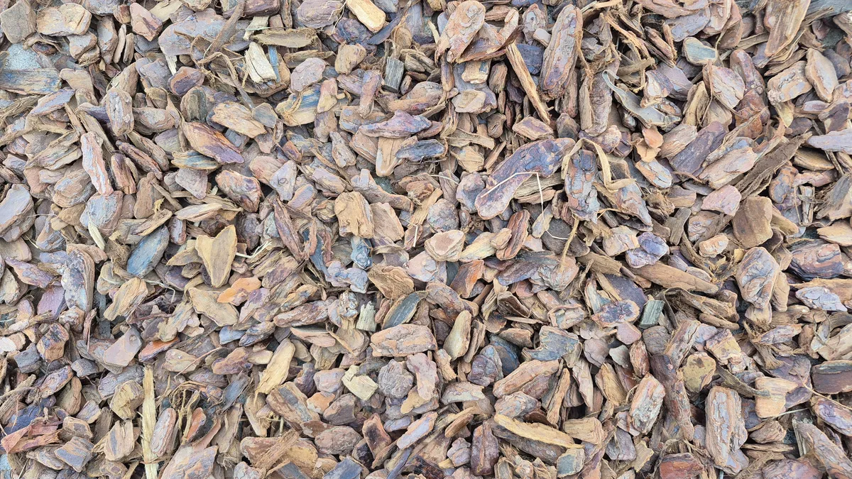 Casca de Pinus Semi-Polida Zaria